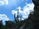 photo thumbnail #15