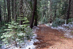 photo thumbnail #4