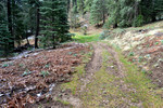 photo thumbnail #6