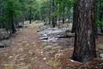 photo thumbnail #11