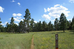 photo thumbnail #6