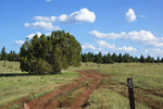 photo thumbnail #15