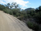 photo thumbnail #1