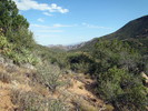 photo thumbnail #14