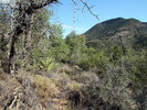 photo thumbnail #13