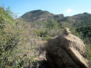 photo thumbnail #12
