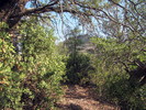 photo thumbnail #11