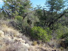 photo thumbnail #10