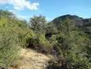 photo thumbnail #9