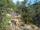 photo thumbnail #7
