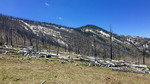 photo thumbnail #4