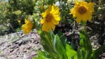 photo thumbnail #10