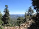 photo thumbnail #3