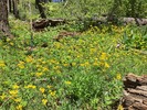 photo thumbnail #13