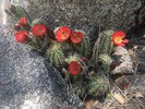 photo thumbnail #3