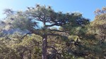 photo thumbnail #12