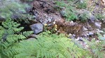 photo thumbnail #14