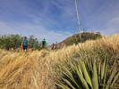 photo thumbnail #1