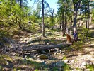 photo thumbnail #2