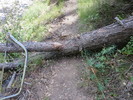 photo thumbnail #8