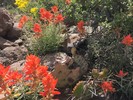 photo thumbnail #3