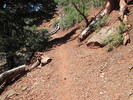 photo thumbnail #5