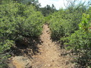 photo thumbnail #7