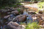 photo thumbnail #10