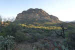 photo thumbnail #9