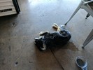 photo thumbnail #11