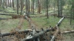 photo thumbnail #9