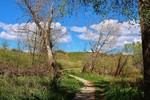 photo thumbnail #10