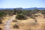 photo thumbnail #8