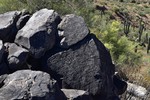 photo thumbnail #1