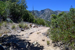 photo thumbnail #7