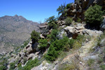 photo thumbnail #9