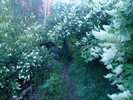photo thumbnail #11