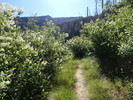 photo thumbnail #14