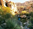 photo thumbnail #14