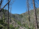 photo thumbnail #7