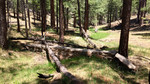 photo thumbnail #7