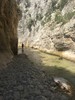 photo thumbnail #14