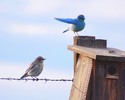 photo thumbnail #7