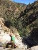 photo thumbnail #5