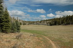 photo thumbnail #3
