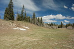 photo thumbnail #6