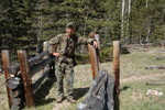 photo thumbnail #8