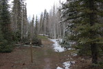 photo thumbnail #5