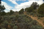 photo thumbnail #5