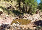 photo thumbnail #12